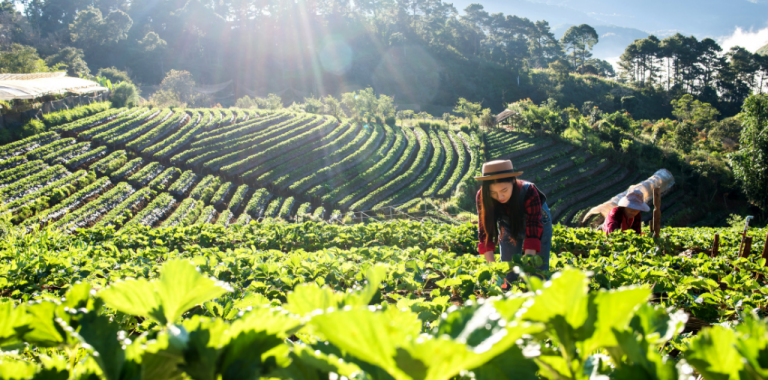 LIVRO PIONEIRO SOBRE MULHERES DO AGRONEGÓCIO SERÁ LANÇADO EM OUTUBRO NO 4º CNMA